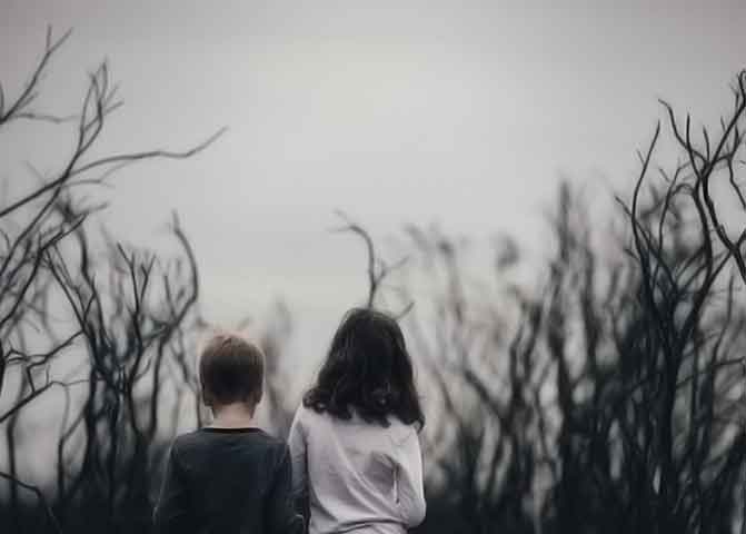 求购最新资源的器测压文章